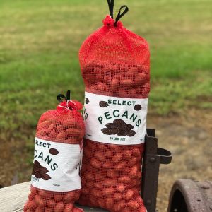 in shell pecans