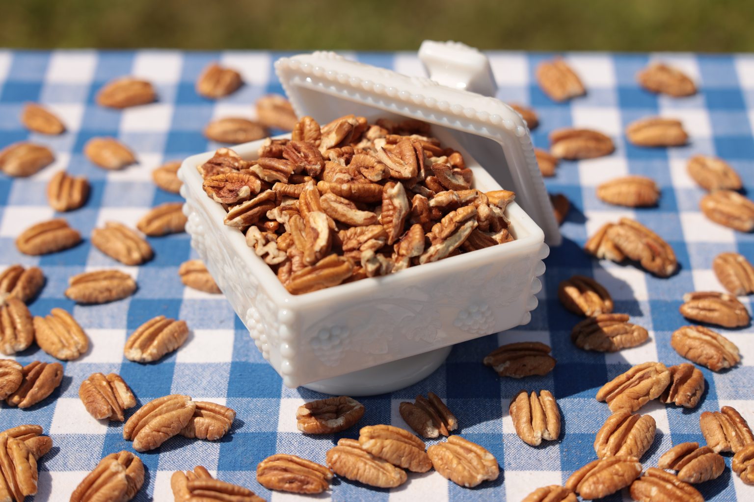 Bulk Pecan Pieces The Pecan Barn